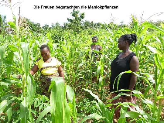 Read more about the article Unser neues Landwirtschaftsprojekt in Love´ im Hinterland von Togoville